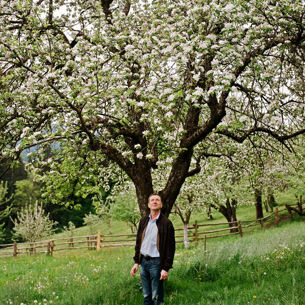 Valentin Latschen – Apfelblüte