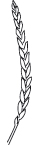 Distillato di Dinkelbier